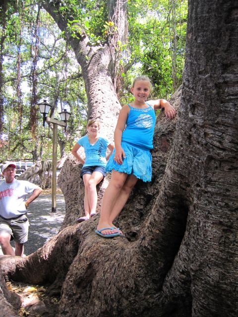 IMG 0536 copy